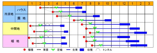 スパイラル作型